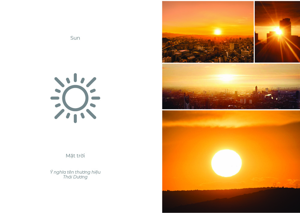 + Thiết kế logo + Nhận diện thương hiệu + Nhận diện văn phòng + Thiết kế website + Thiết kế landing page + Nhận diện số + Thiết kế sale kit + Thiết kế POSM + Thiết kế Profile + Thiết kế Catalogue + Báo cáo thường niên + Thiết kế tờ rơi quảng cáo + Thiết kế hồ sơ năng lực + Thiết kế Brochure